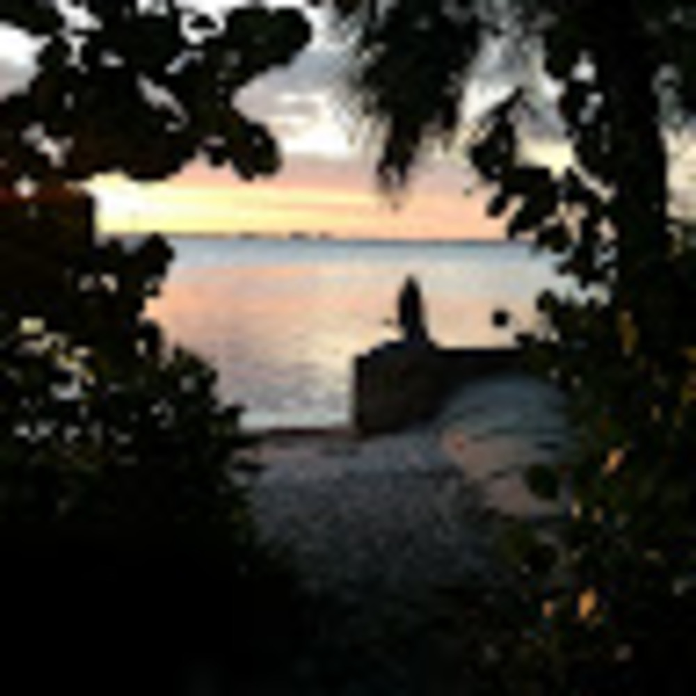 Meet your Posher, Johanna